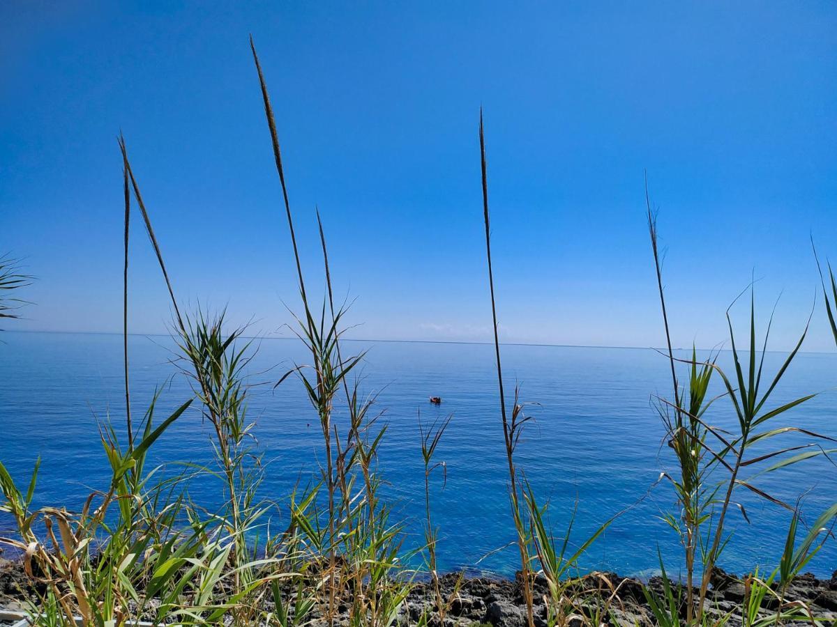 Marina Di Andrano - Alisso, Casa Vista Mare Con Parcheggio Privato E Wifi Villa ภายนอก รูปภาพ