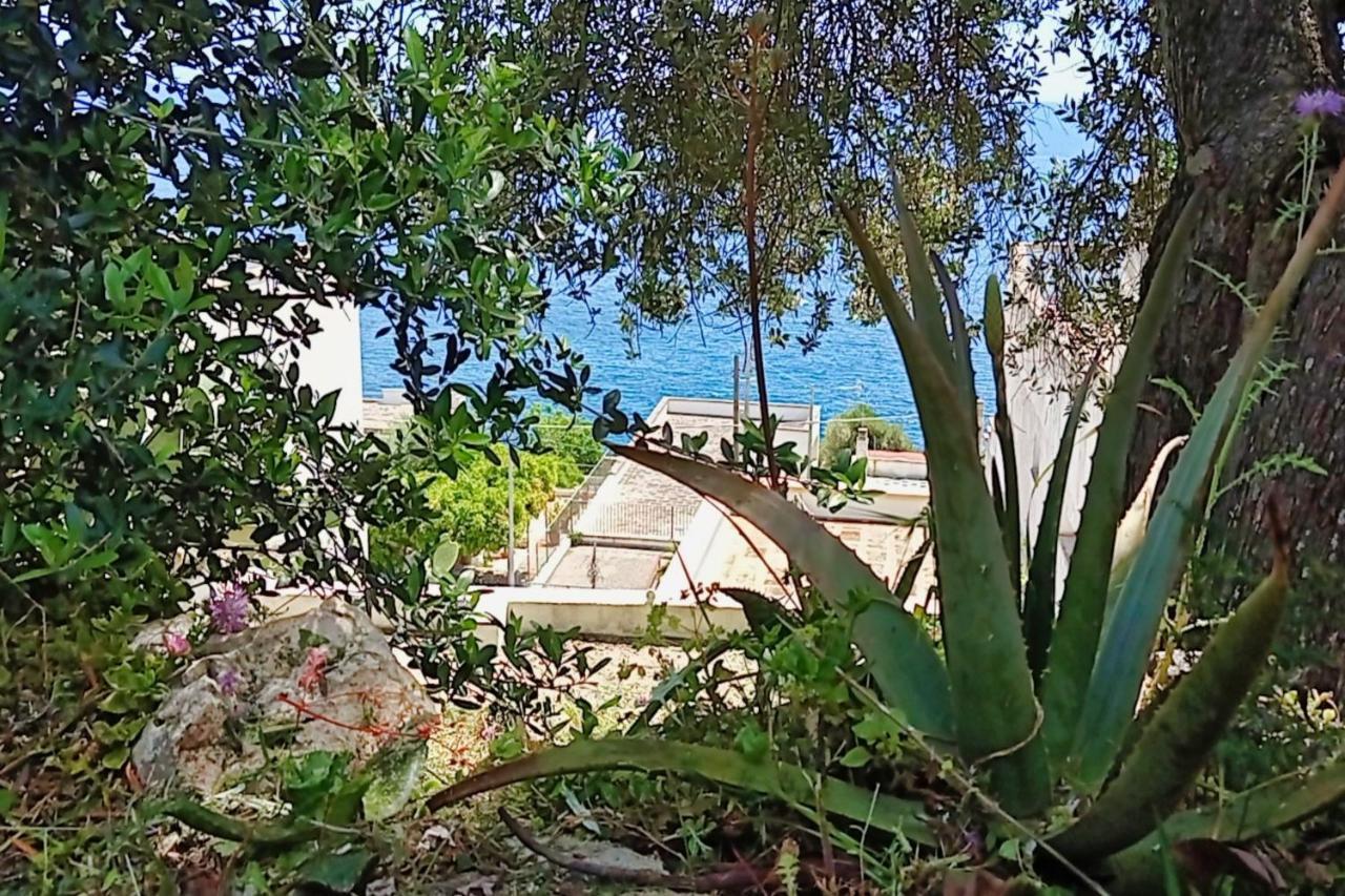 Marina Di Andrano - Alisso, Casa Vista Mare Con Parcheggio Privato E Wifi Villa ภายนอก รูปภาพ